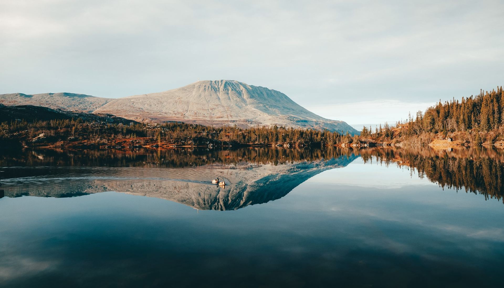 Høst Kvitåvatn Header
