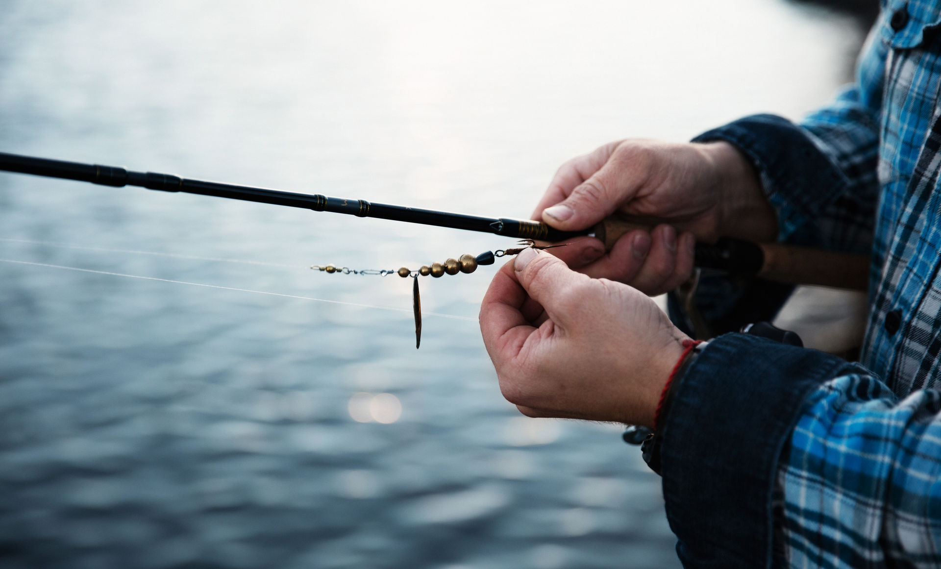 Buy a fishing license