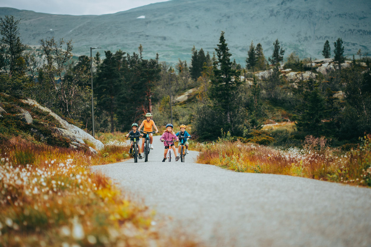 Sykling Kvitåvatn Rundt Sensommer Høst  (5)